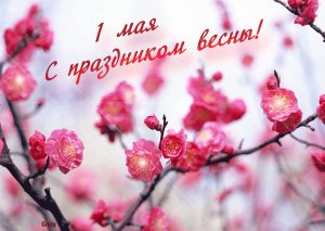 ���� ������������� ������������ ����������