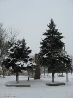 �������� ���� �������� ���������� ����������� �������������� ������� ������������� � �������