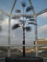 ����� ������ ��������� � ������� � ������-��������