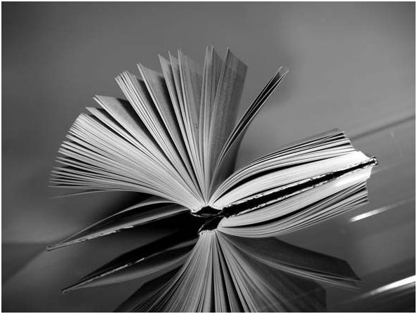 Открытая книга Открытая книга
