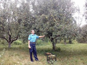 ��������� ���������-�������������� ��� ����� ������ �����