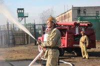 ������ �� ������� ��������� ������