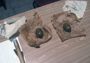 ����������