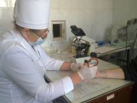 профилактический осмотр осужденных профилактический осмотр осужденных