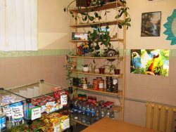 � ����������� ��� (� 6) ������ ������� ��� ����������