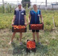 � ����������� �� (� 107) ������� ������ ���������