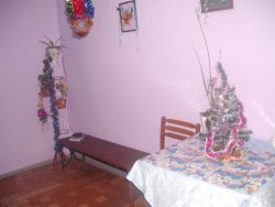 � ����������� �� (� 107) �������� ������ ������� ������ �������