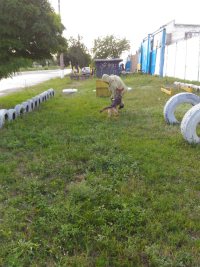 � ����������� �� (�107) ������������ ������� � ������������� ���������