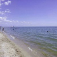 ���������� ������������� ������������ �������������� ������� (�82) ��������� �� ������� ���������