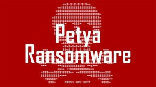 ����� petya.a