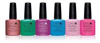 ���� ���� shellac