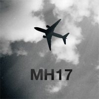 MH17