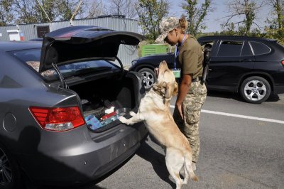 ����������� ����� ������-������