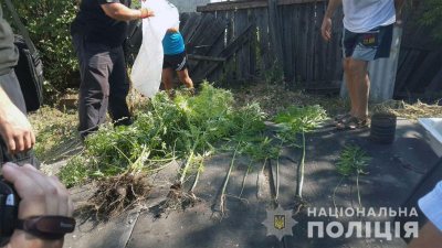� �������� ����������� ����������� ������������