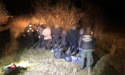 � ��������� ������� ������������ ��������� ������ ��������� � �� �������������