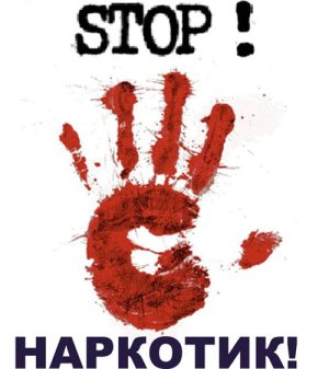 ���� ���������