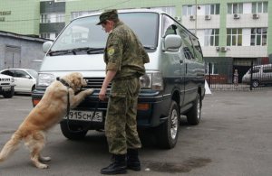 Кинологическая Служба Кинологическая Служба