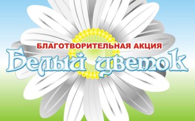 ����������������� ����� ������ ������